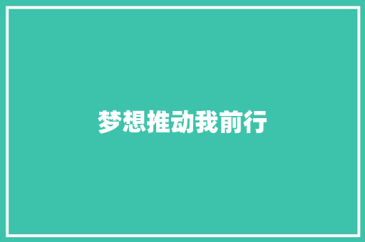 梦想推动我前行