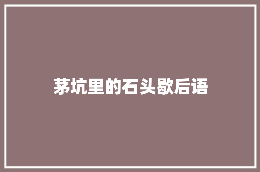 茅坑里的石头歇后语