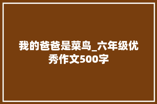 我的爸爸是菜鸟_六年级优秀作文500字