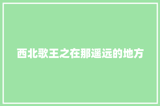 西北歌王之在那遥远的地方 休闲娱乐