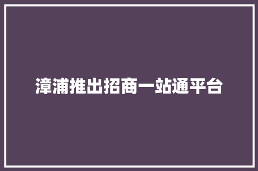 漳浦推出招商一站通平台