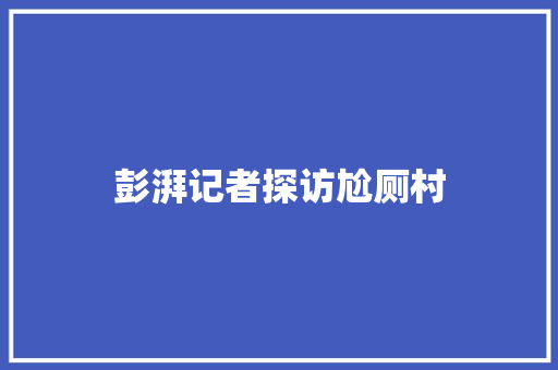 彭湃记者探访尬厕村 汽车知识