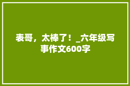 表哥，太棒了！_六年级写事作文600字