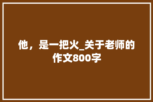 他，是一把火_关于老师的作文800字