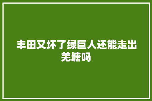 丰田又坏了绿巨人还能走出羌塘吗