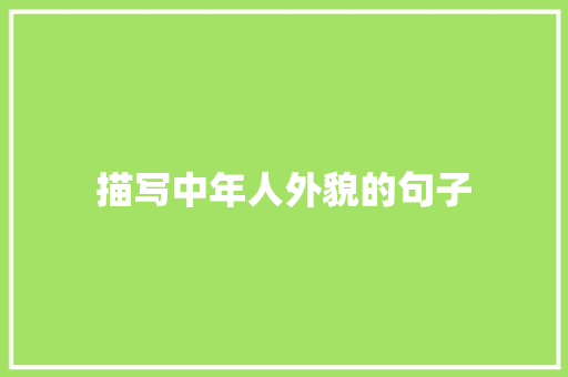描写中年人外貌的句子