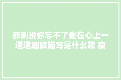 都别说你忘不了他在心上一道道细纹描写是什么歌 寂寞软沙发歌词