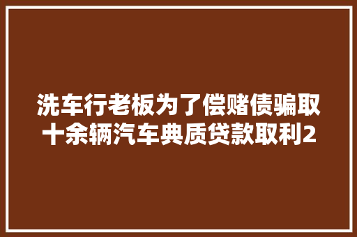 洗车行老板为了偿赌债骗取十余辆汽车典质贷款取利20多万元