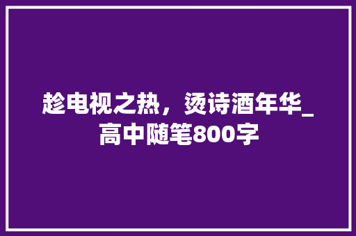趁电视之热，烫诗酒年华_高中随笔800字