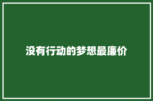 没有行动的梦想最廉价