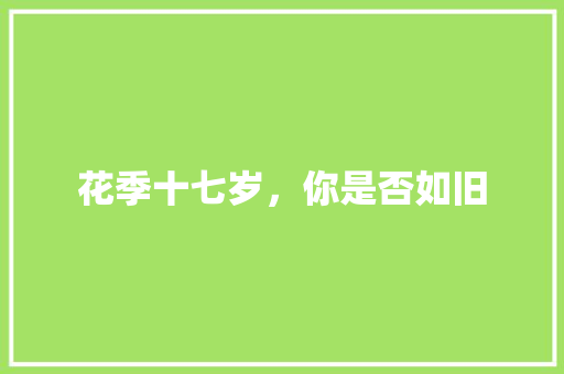 花季十七岁，你是否如旧