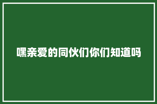 嘿亲爱的同伙们你们知道吗