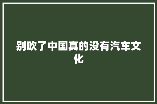 别吹了中国真的没有汽车文化