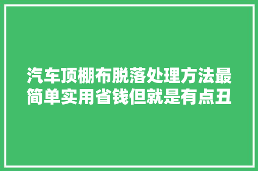 汽车顶棚布脱落处理方法最简单实用省钱但就是有点丑
