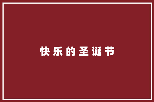 快 乐 的 圣 诞 节