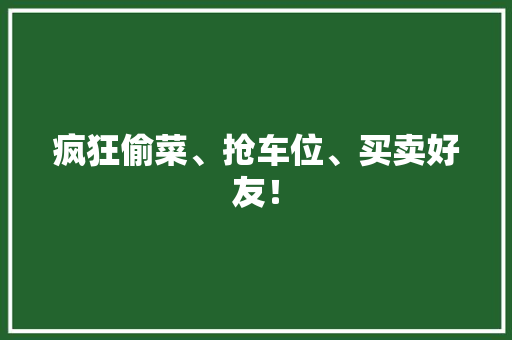 疯狂偷菜、抢车位、买卖好友！