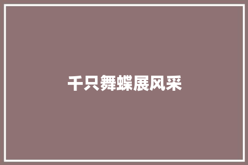 千只舞蝶展风采