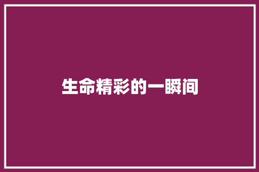 生命精彩的一瞬间