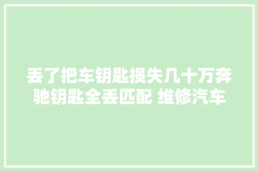 丢了把车钥匙损失几十万奔驰钥匙全丢匹配 维修汽车 汽车知识