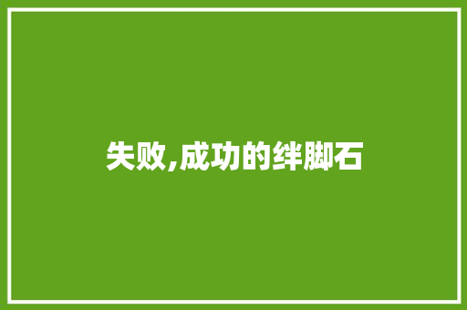 失败,成功的绊脚石