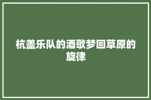 杭盖乐队的酒歌梦回草原的旋律