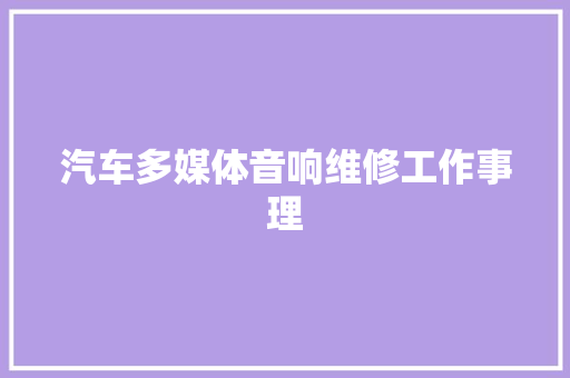汽车多媒体音响维修工作事理