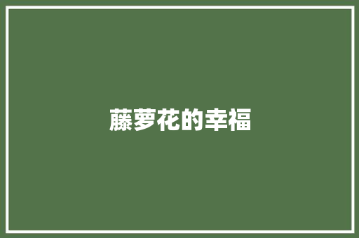 藤萝花的幸福