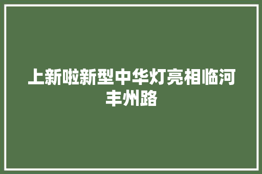上新啦新型中华灯亮相临河丰州路 汽车知识