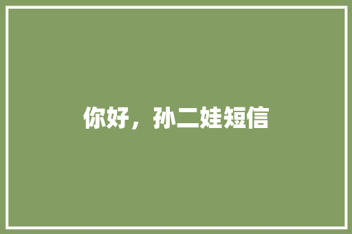 你好，孙二娃短信 知识百科