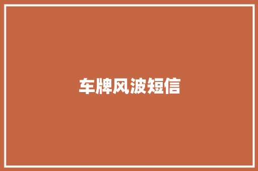 车牌风波短信