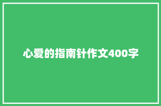 心爱的指南针作文400字