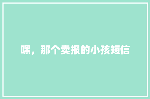 嘿，那个卖报的小孩短信