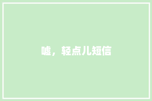 嘘，轻点儿短信 知识百科
