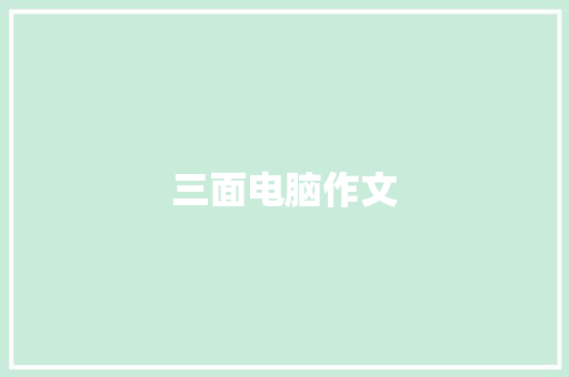 三面电脑作文
