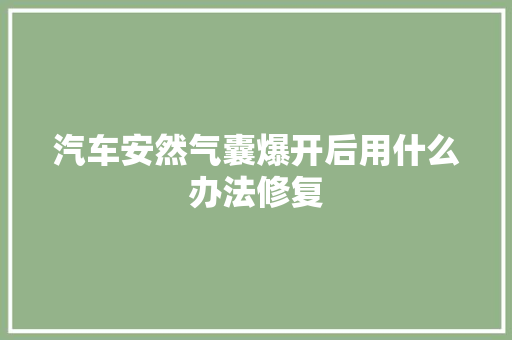 汽车安然气囊爆开后用什么办法修复