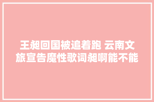 王昶回国被追着跑 云南文旅宣告魔性歌词昶啊能不能让我安排一哈 休闲娱乐
