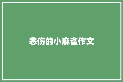 悲伤的小麻雀作文