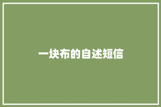 一块布的自述短信