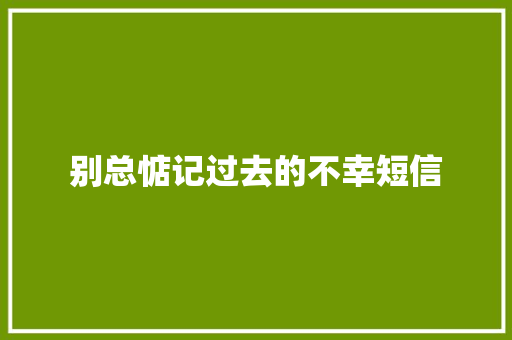 别总惦记过去的不幸短信