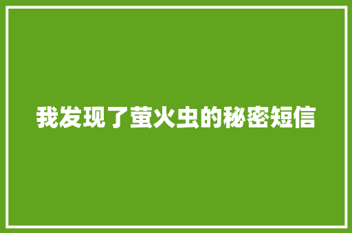 我发现了萤火虫的秘密短信