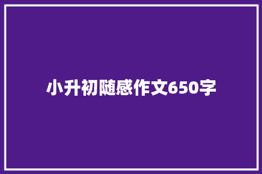 小升初随感作文650字