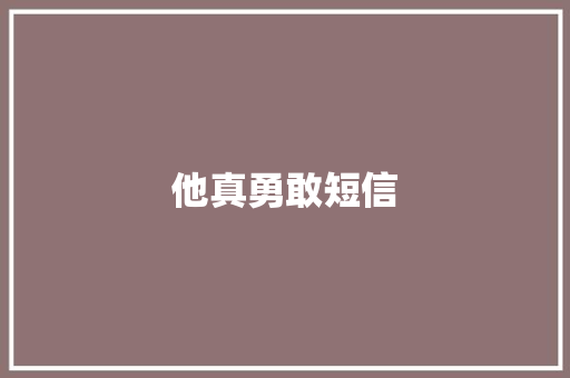 他真勇敢短信