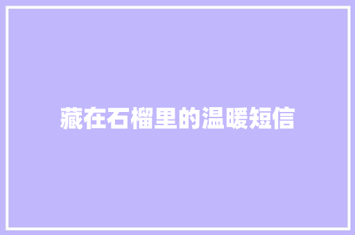 藏在石榴里的温暖短信