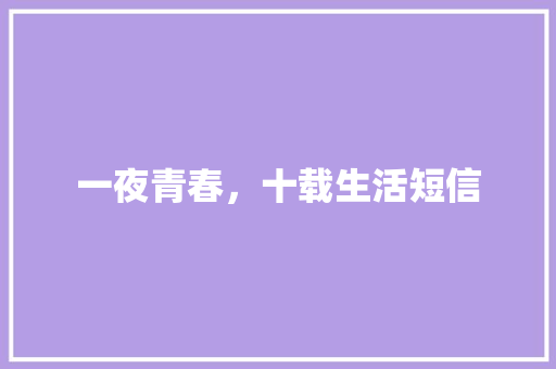 一夜青春，十载生活短信
