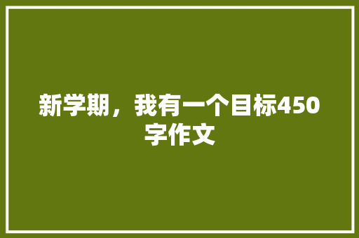 新学期，我有一个目标450字作文