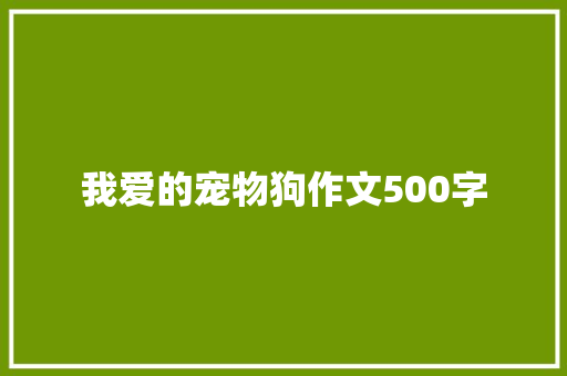 我爱的宠物狗作文500字