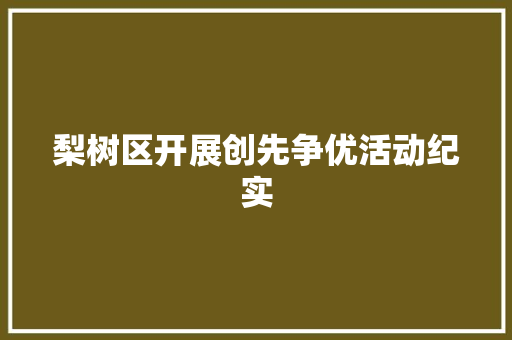 梨树区开展创先争优活动纪实