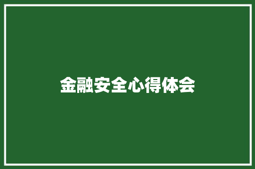 金融安全心得体会