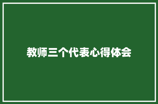 教师三个代表心得体会
