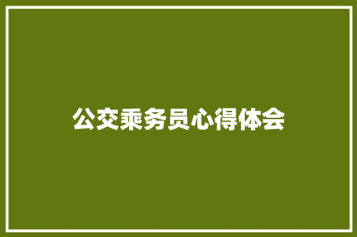 公交乘务员心得体会